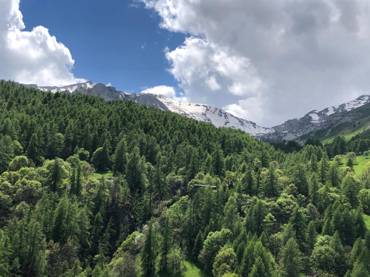Foux D'Allos - Appartement Charmant Et Fonctionnel المظهر الخارجي الصورة